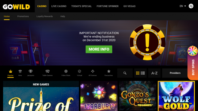 GoWild Homepage Desktop