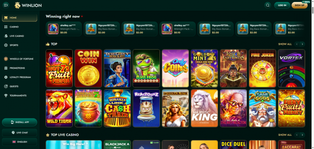 WinLion Homepage Desktop